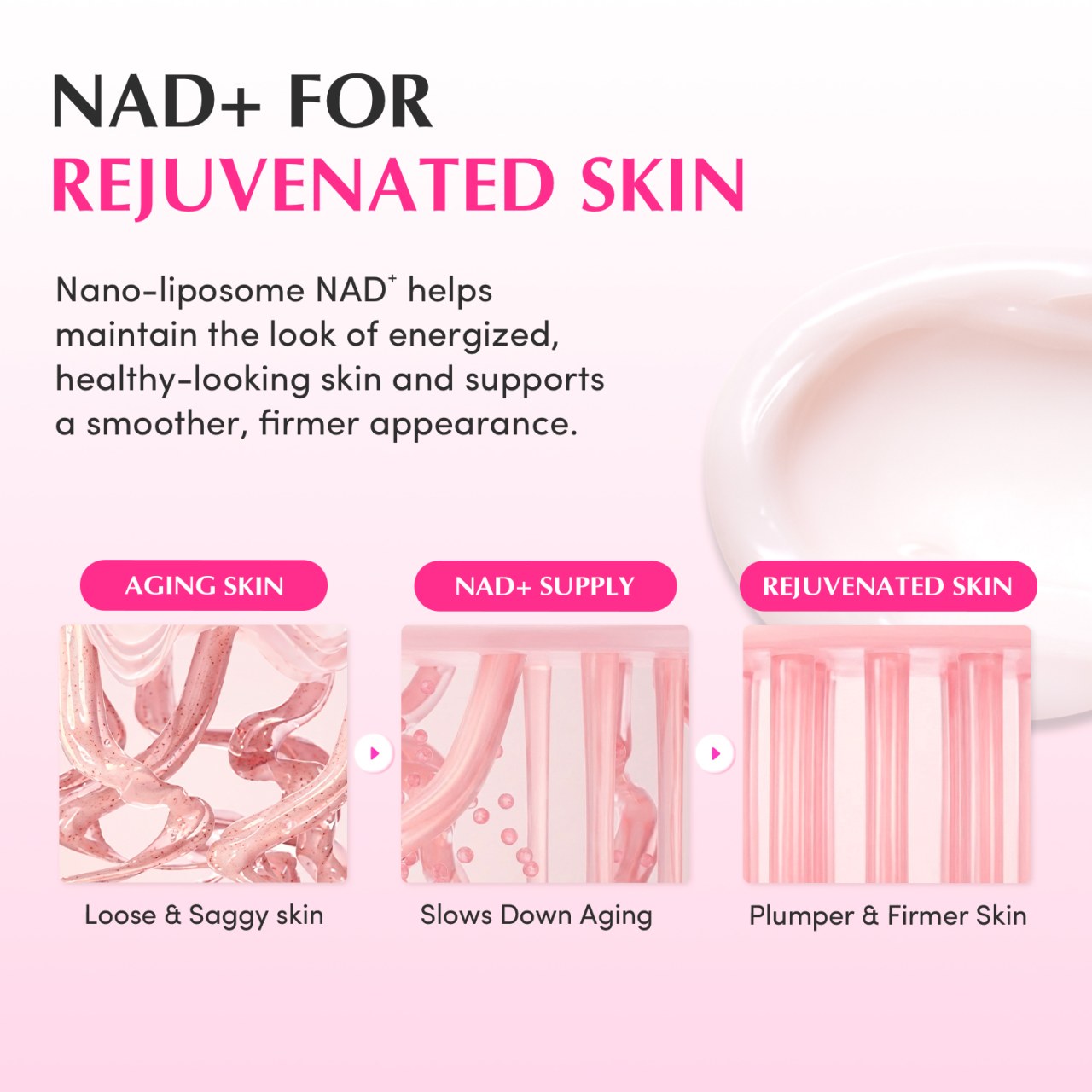 Kem dưỡng chống lão hóa Eqqualberry NAD+ Peptide Boosting Cream 50ML - Ảnh 28