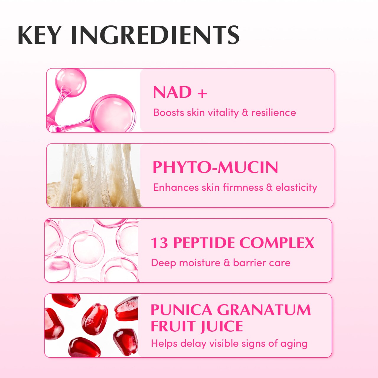 Kem dưỡng chống lão hóa Eqqualberry NAD+ Peptide Boosting Cream 50ML - Ảnh 31