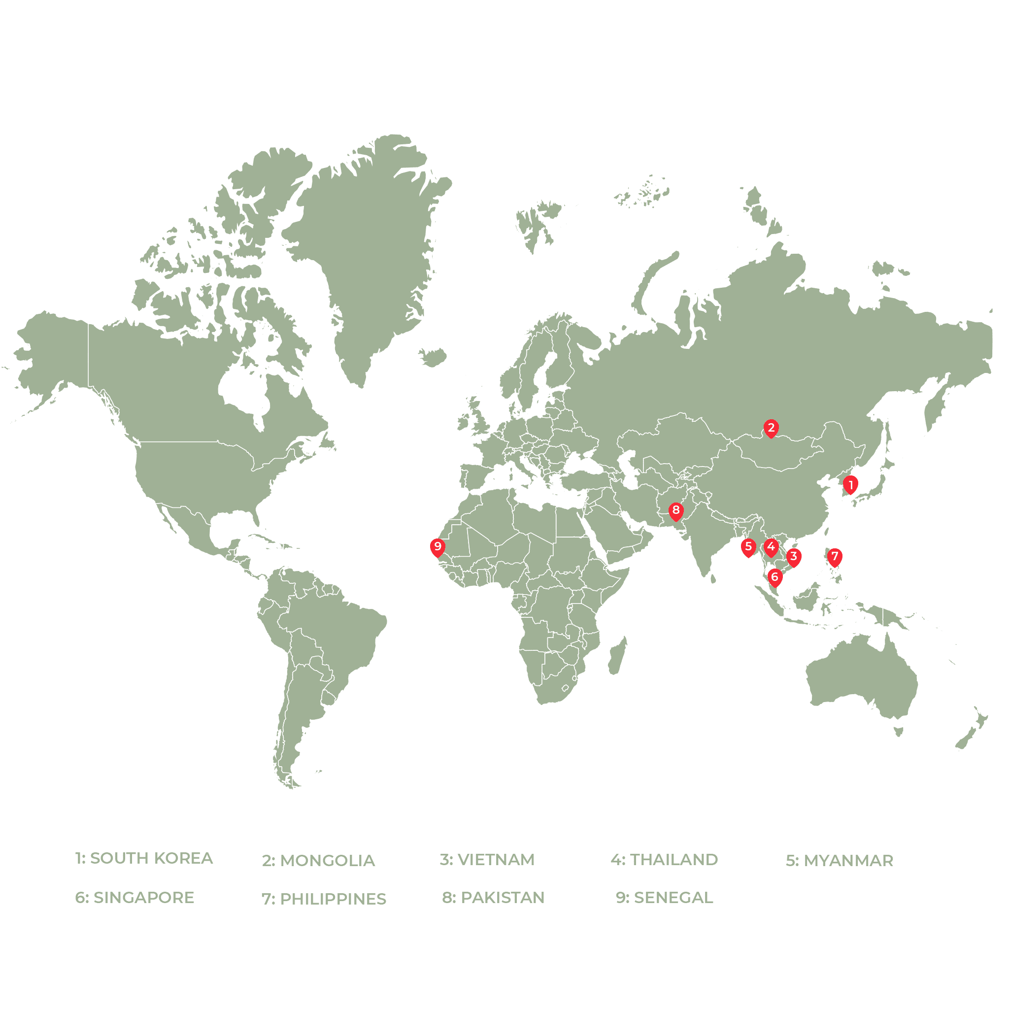 Coslife 20 Year Journey Trusted Korean Cosmetics Supplier Global Partners 01 (1)
