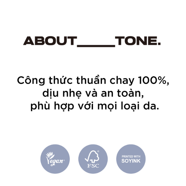 Tai Sao Nen Chon About Tone Blur Powder Pact 01 Fair 04